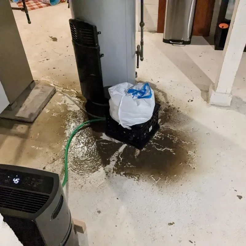 Sewage Backup Cleanup Service in Texanna, OK